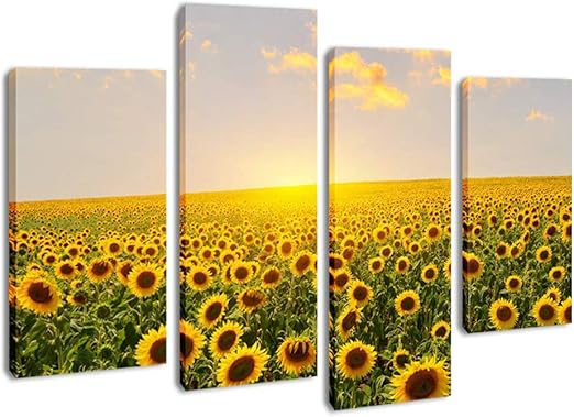 Amazon Com Dvq Art Sunflower Canvas Wall Art Framed Sunflowers