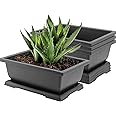 JOIKIT 4 Packs 11 Inch Large Plastic Bonsai Pots with Drainage Tray, Rectangular Bonsai Training Planter Pots, Plant Growing Bonsai Tree Pots for Garden, Decoration, Balcony