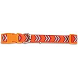 Doskocil Petmate Aspen Pet Products Petmate Rubber Collar, Chevron Orange, 3/4' x 14-20'
