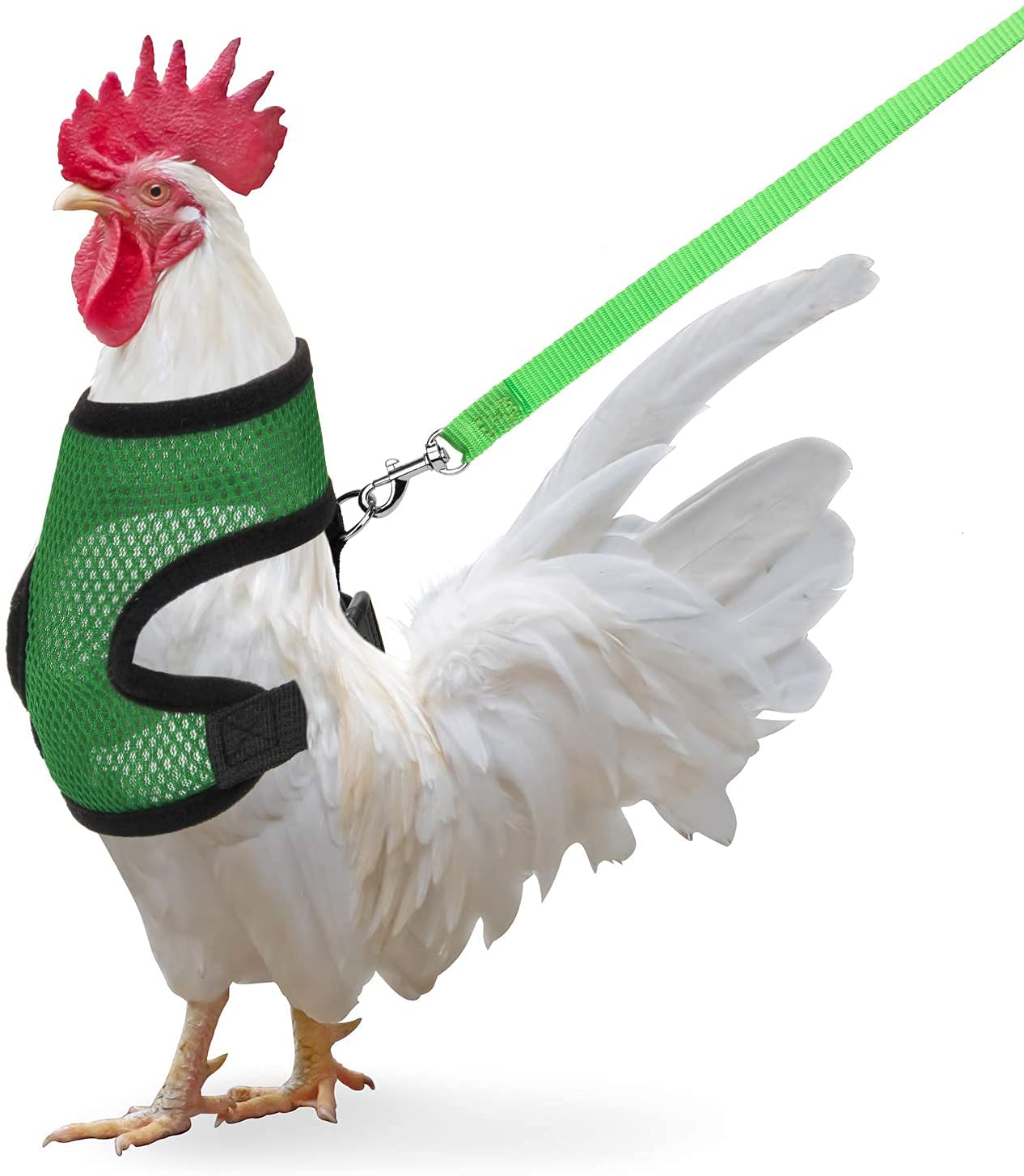 Chicken Harness with Leash, Adjustable Chicken Leash for Hens, Duck, Puppy (Green, M)