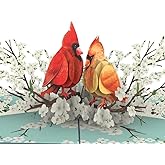 SOUL POP UP 3D Pop Up Valentines Day Card Cardinal Birds Couple on Dogwood Branch - Romantic Valentine Pop Up Card for Wife, Girlfriend, Nature & Bird Lovers - Anniversary Birthday Gift