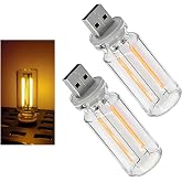 Fkewp 2PCS Car USB Night Light Bulb, Touch Dimmable Mini LED Retro Ambient Light Glass Bottle Lamp, Portable Plug-in USB Interface Charging Night Lights for Vehicle Bedroom Camping (Warm)