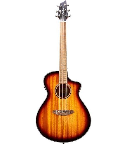 レゲエ Sweet And Nice Lambert Douglas & Wan Amazon.com: Breedlove Rainforest S Concert CE African