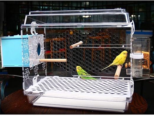 budgie travel carrier