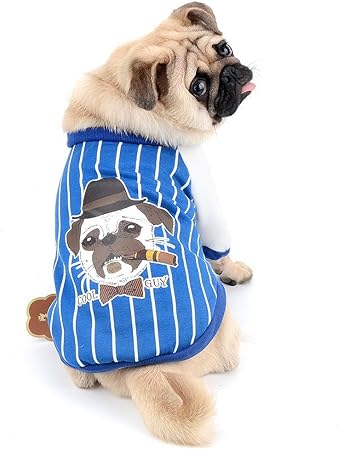 Amazon Com Zunea Dog Sweater Coat Soft Cotton Winter Warm Jacket