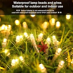 String Lights Fairy Lights 66 Feet 200 LED with