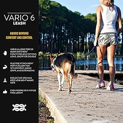 EzyDog Vario 6 Multi-Function Dog Leash with Snap