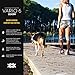 EzyDog Vario 6 Multi-Function Dog Leash with Snap Hook and Reflective Stitching - Perfect for Running, Walking, and Traffic Control - Hands-Free, Double Dog, and Tethering Capabilities (Standard, Black)