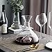 Iceberg Wine Decanter Aerator-100% Hand Blown Lead-Free Crystal Glass,Brand-New Design Elegant Red Wine and Liquor Carafe Set,Crafted Liquor Accessories,Wine Gift for Friends and Family
