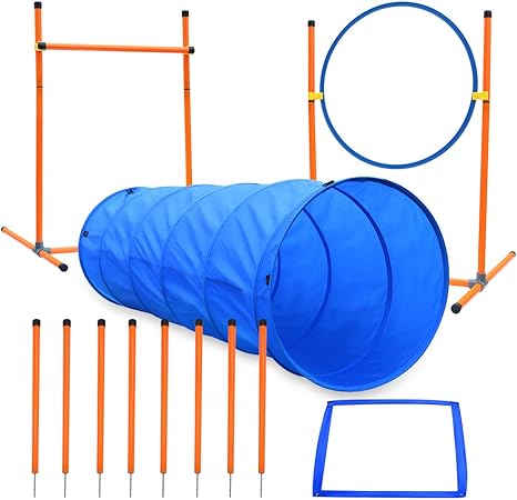 agility course for dogs amazon