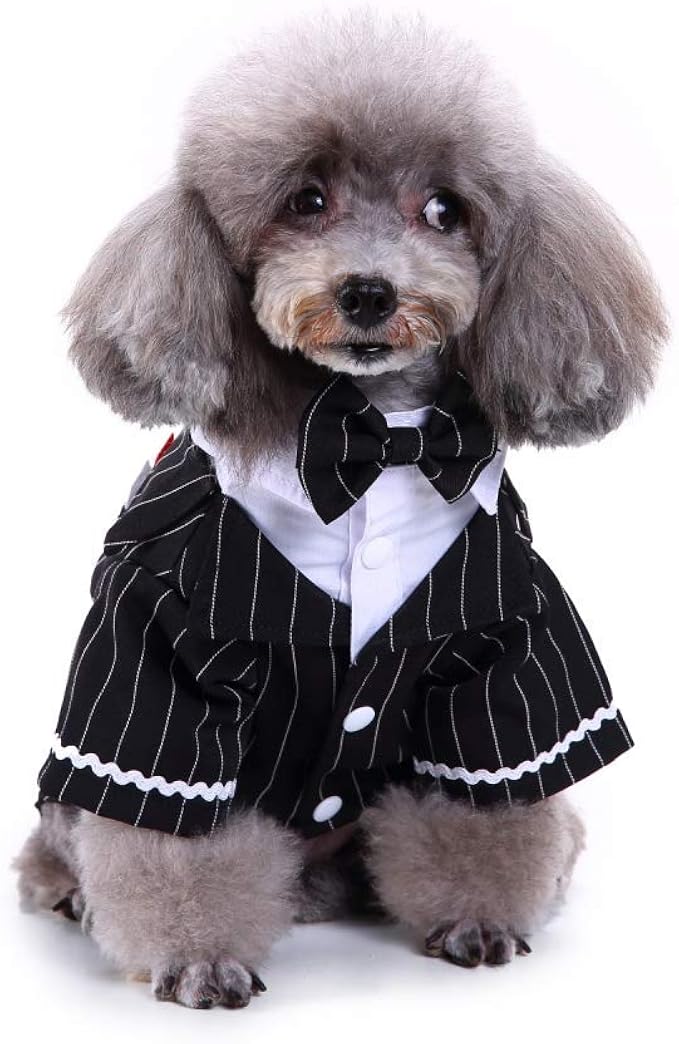 Mode Elegante Luxus Strass Hund Kleid Designer Kleidung Fur Hunde Kleidung Mit Fliege Spitze Tutu Kleid Fur Ihre Prinzessin Hund Dog Dress Dog Dress Clotheselegant Dog Clothes Aliexpress