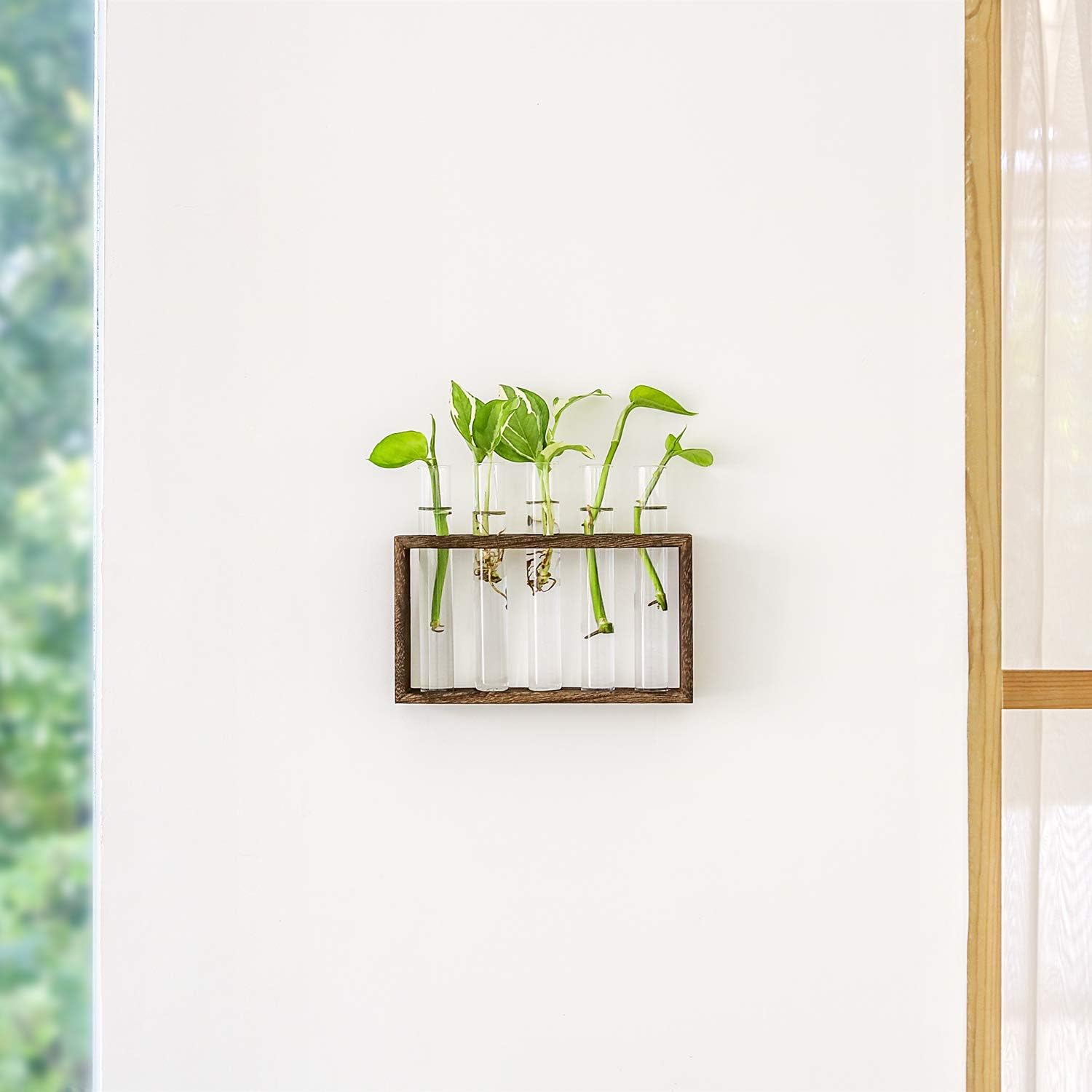 Mkono Wall Hanging Glass Planter Propagation Station Modern Flower Bud Vase in Wood Stand Rack Tabletop Terrarium for Hydroponics Plants, Home Office Decoration with 5 Test Tube, Medium, Brown: Garden & Outdoor