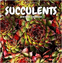 Succulents 2019 Wall Calendar: Flower Photography, Mini Calendar, Wall Calendar (New Years Gift Idea) Succulents 2019 Wall Calendar: Flower Photography, Mini Calendar, Wall Calendar (New Years Gift Idea)