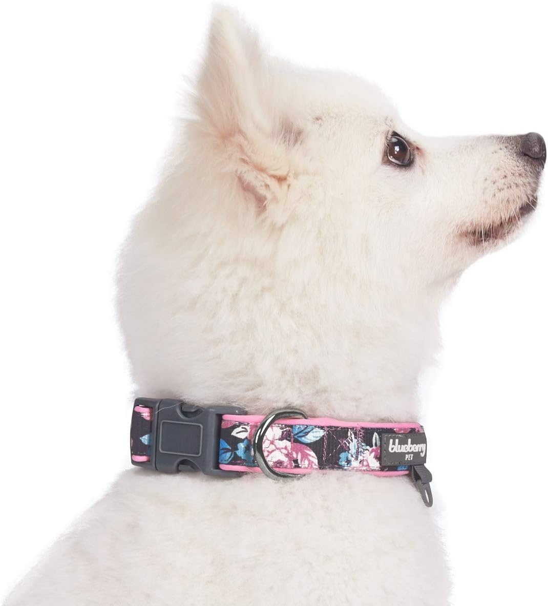 Blueberry Pet 7 Patterns Soft & Comfy Rose Flower Prints Girly Padded Adjustable Dog Collar, Large, Neck 18"-26" : Pet Supplies