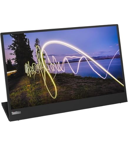 Amazon.com: Lenovo ThinkVision M14d 14