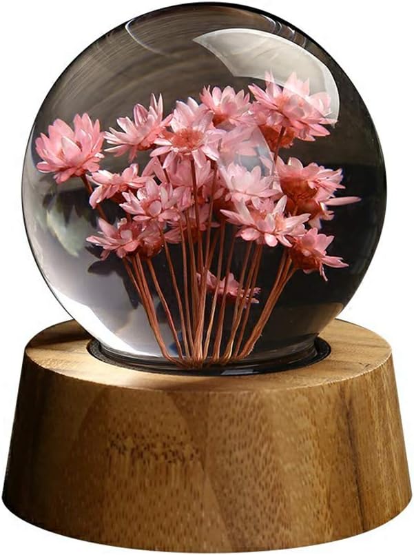 GU YONG TAO Furniture Life Daisy Crystal Ball, Crystal Clear - Natural Bamboo Wood Quality - Clear Texture, Suitable For: Birthday, Children'S Best Gift And Life Decoration