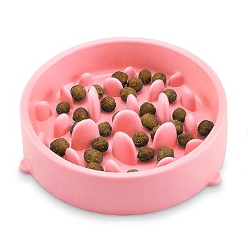 Ihoy Slow Feeder Dog Bowl Slow Eating Foraging Dog Bowl Fun