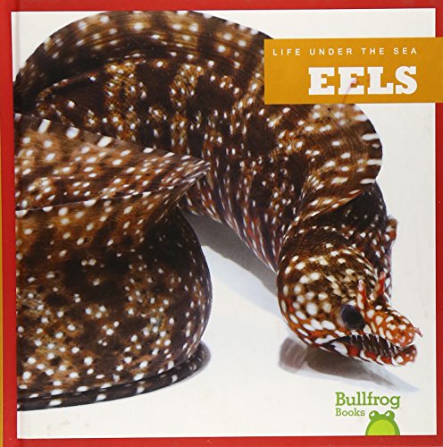 Eels (Bullfrog Books: Life Under the Sea)