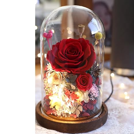 Amazoncom Xjdd Romantic Rose Giftnever Withered Real