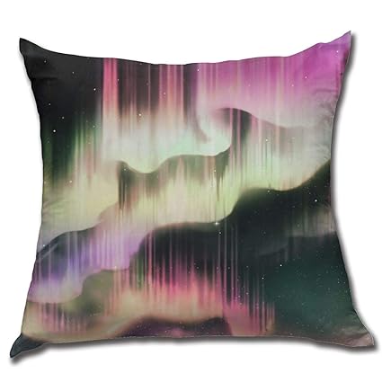 Amazon Com Gary Oleman Zeds Dead Northern Lights Throw Pillows