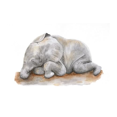 lego great white shark set