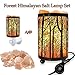 MAYMII·HOME Set of 2 Pack Forest Himalayan Salt Lamp Table Lamp Night Light(4.1x6.5in),Touch Dimmer Switch Control with Wall Night Light Set,Perfect Fit Himalayan Grey Salt Lamp