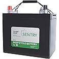 Basement Sentry 75 AMP Hour Deep Cycle Battery (Charges 5X Faster Than Other Batteries) Ready to Use and Maintenance Free, STB75B