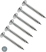 TERF 4.0mm x 40mm Pozi Flat Countersunk SS 304 Screws Pack of 50
