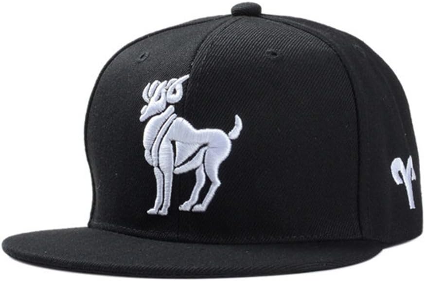 BIBITIME BIBITME Hip Hop Embroidered 12 Constellation Zodiac Hats Snapback Baseball Cap