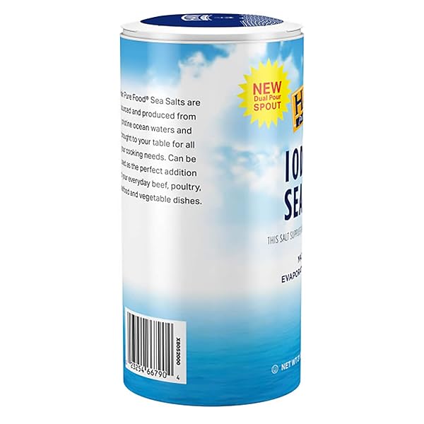 HAIN PURE FOODS IODIZED SEA SALT, 21 OZ