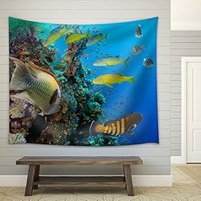 Colorful Underwater Offshore Rocky Reef with Coral and sponges and Small Tropical Fish Swimming by in a Blue Ocean - Fabric Wall Tapestry Home Decor - 51x60 inches
