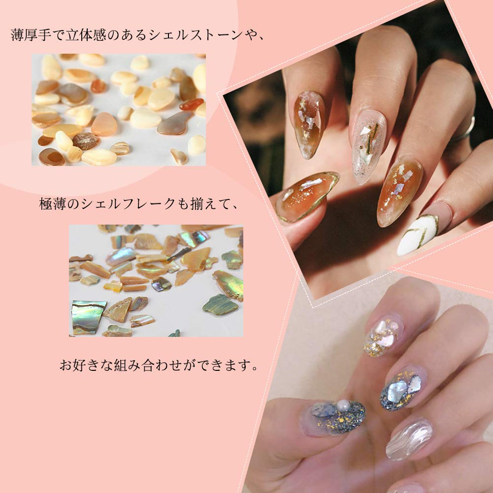 Mua Born Pretty シェルストーン ナチュラルカラー シェルパーツ 天然色 12種類 ケース入り クラッシュシェル ネイル パーツ ジェル ネイルパーツデコレーション 並行輸入品 Tren Amazon Nhật Chinh Hang 21 Fado