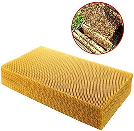 ZDJR Cera de Abejas, Base de Nido de Caja de Nido de Apicultura, Hojas de Nido