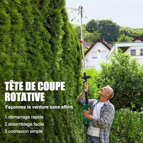 HYCHIKA Electric Telescopic Hedge Trimmer 900 W, Pole Pruner, Electric Hedge Trimmer, Extendable 200-250 cm, Double Switch and Double Handle, for Trimming Hedges and Shrubs