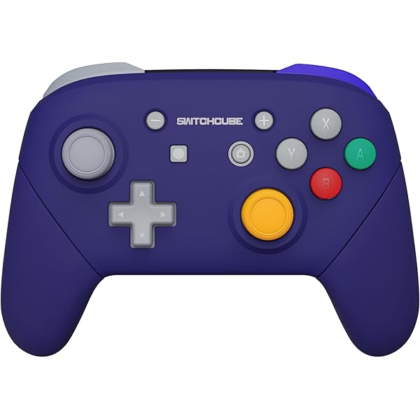 Nintendo Switch 本体&金色プロコン、ケース Amazon.com: eXtremeRate DIY Replacement Shell Buttons for Nintendo