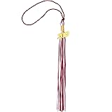 TecUnite Graduation Tassel Academic Graduation