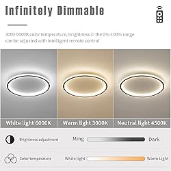 19.68 Inch Flush Mount Ceiling Light, 40-60W Round