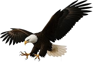 DP BOUTIQUE Bald Eagle 2FT Life Size Cardboard Cutout, Safari Theme Decoration, Alaskan Animals Standup for Events, Party, Photography Props, 1 PC