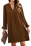 JOCAFIYE Womens Dresses V-Neck Long Sleeve Shift