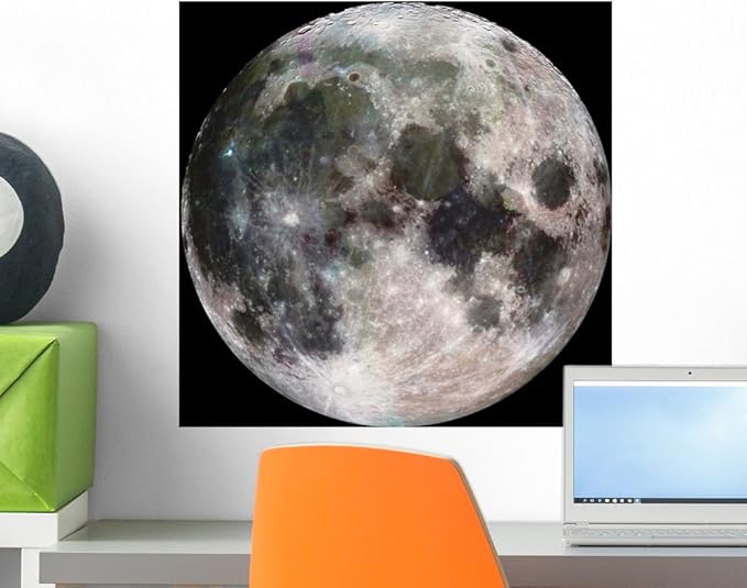 Full Moon Wall Mural by Wallmonkeys Peel and Stick Graphic (18 in W x 18 in H