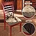 Hoovy Seat Covers Pack of 2 Protective & Stretchable - for Round & Square Chairs (Black)