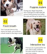 Wefine Puppy Chew Toys 100% Natural Cotton Rope for Small Medium Dogs 10 PCS view 7