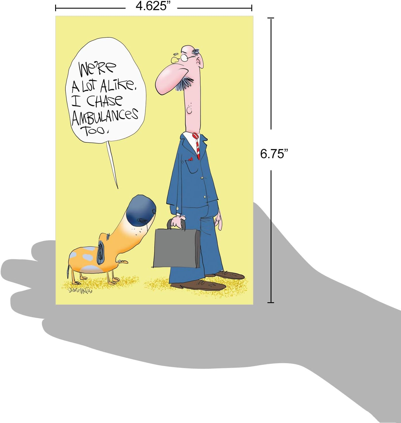 NobleWorks - Funny Get Well Soon Card with Envelope - Cartoon Humor, Feel Better Greeting - Horse Hip Replacement C1770GWG: Office Products