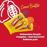 Carmex Minis Lip Balm Set Cherry Strawberry Pineapple SPF 15 Pack of 3 view 5