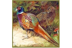 Orenco Originals Common Pheasant Detail Thorburn Bird Counted Cross Stitch Pattern