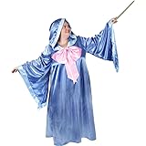 Women's Fairy Godmother Halloween Costume (Size: Plus 22)