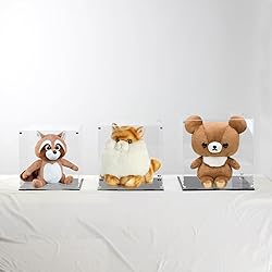 Kcgani 12 Inch Clear Acrylic Case for Display, Cube
