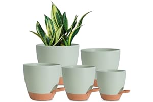 Vanslogreen Plant Pots Indoor 7/6.5/6/5.5/5 Inch Self Watering Planters for Indoor Plants with Drainage Hole, Plastic Flower Pots for Succulents, African Violet (Green)