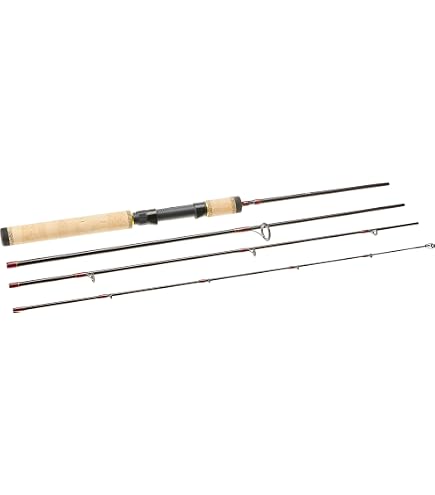 Amazon.com : Daiwa Spinmatic-SMD Rod : Sports & Outdoors