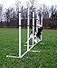 Affordable Agility Fixed 6 Pole Weave Set